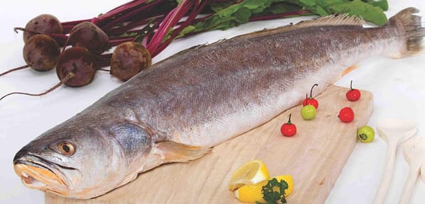 SEA TROUT (WHOLE)