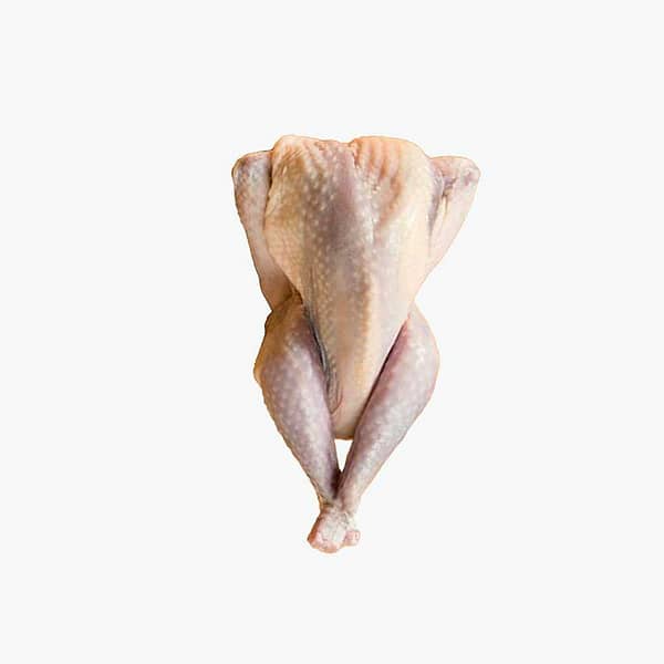 UNSINGED STEWING HEN(16U) / pc